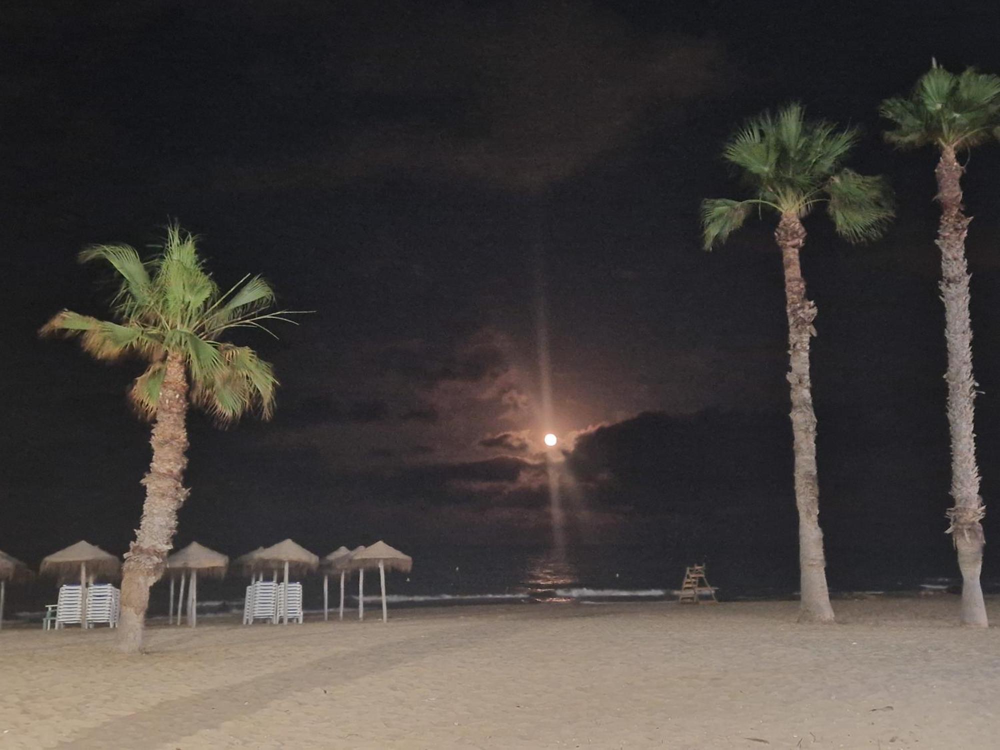 Lovely Apartment Near The Beach In Sunny La Mata Торевьиа Экстерьер фото